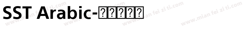 SST Arabic字体转换